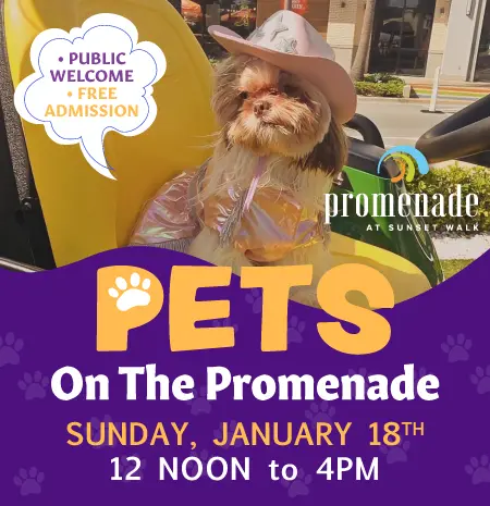Pets on the Promenade - Sunday, January 18, 2026 from 12 to 4 PM