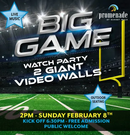 Big Game Watch Party: February 8, 2026