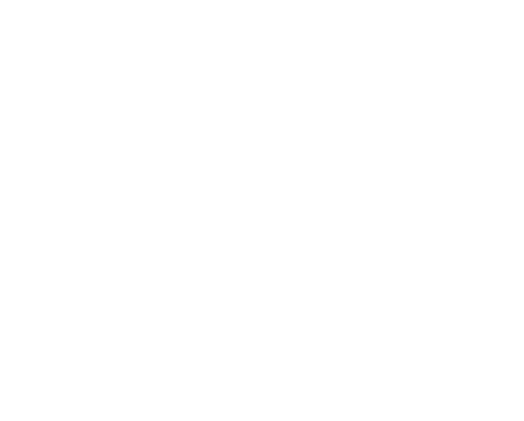 Savvy Sliders - Logo