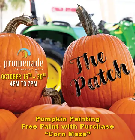 The Patch: Pumpkin Painting, Free Paint with Purchase, Corn Maze, 4–7 PM, October 16–30, 2026