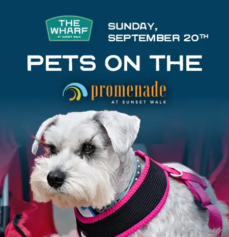 Pets on the Promenade Special at The Wharf